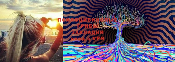PSILOCYBIN Бронницы