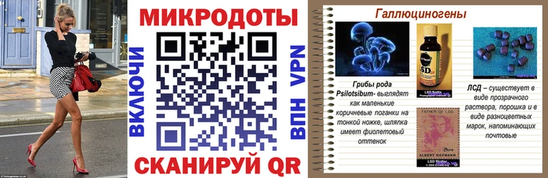 Купить  Болгар  Псилоцибиновые грибы Psilocybe 
